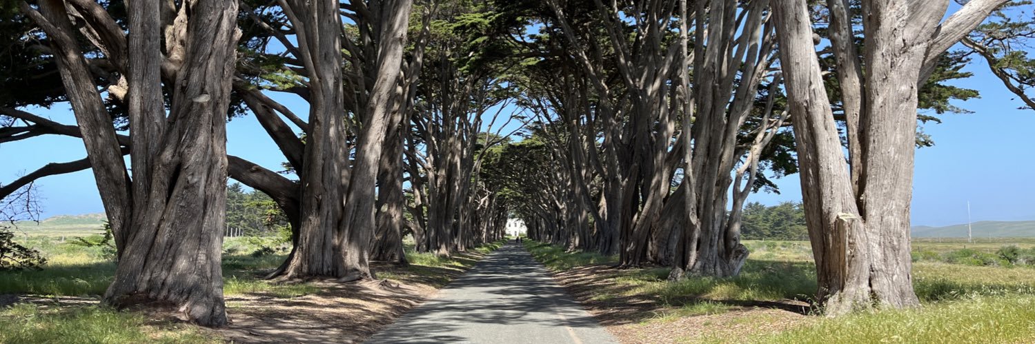 James Fester M.Ed banner