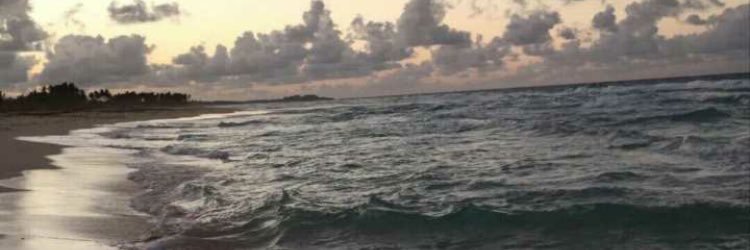 Shoodi1_'s profile banner image