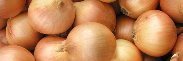 CebulaDeal Profile Banner