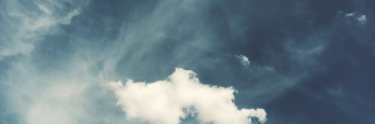 camillevpx's profile banner image