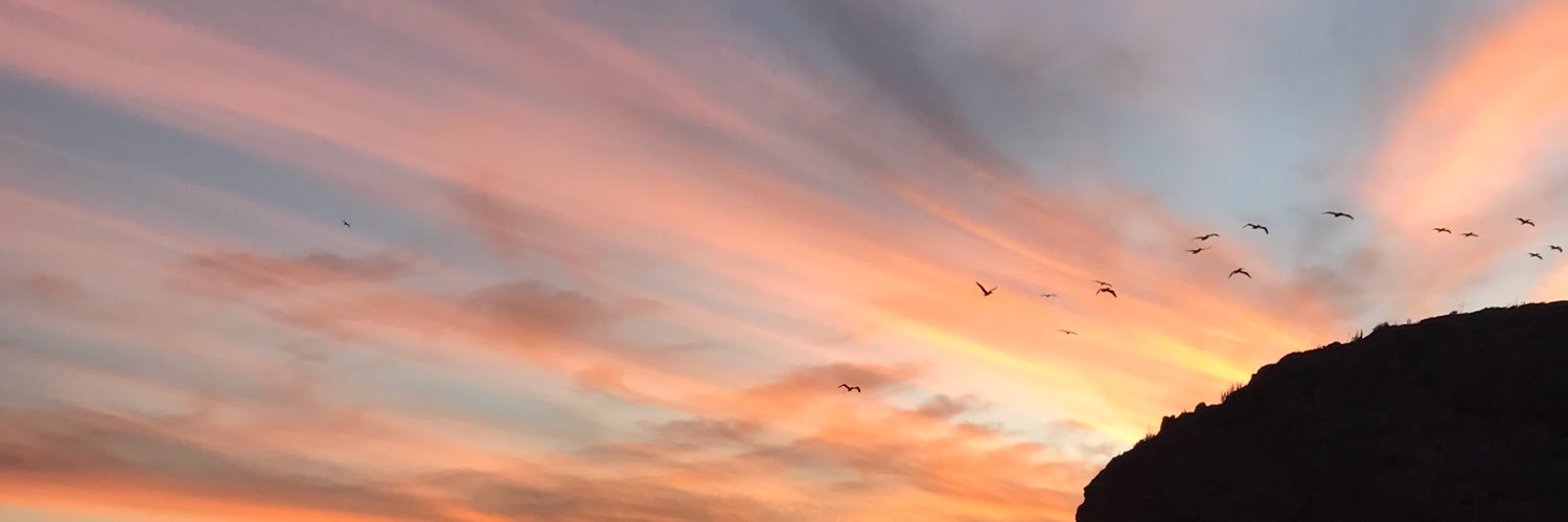 sofia_sesma's profile banner image