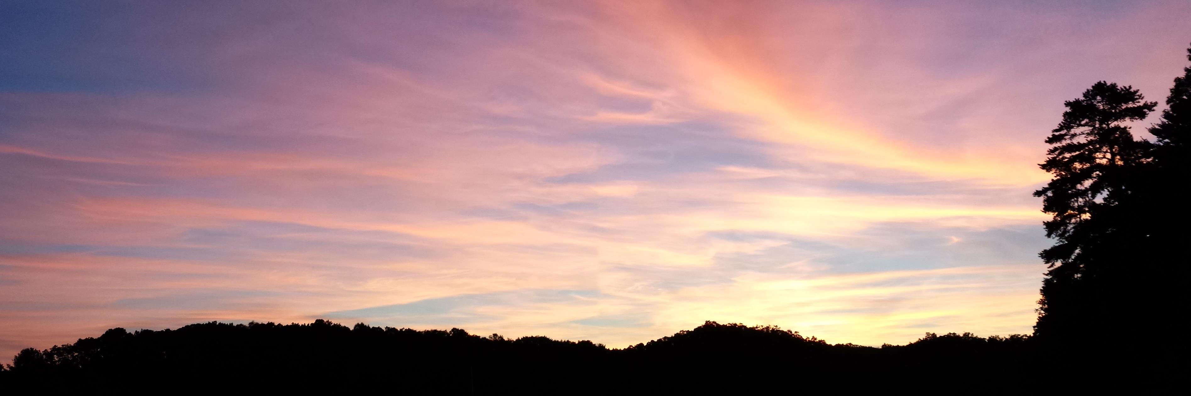 Melinda Higgins banner