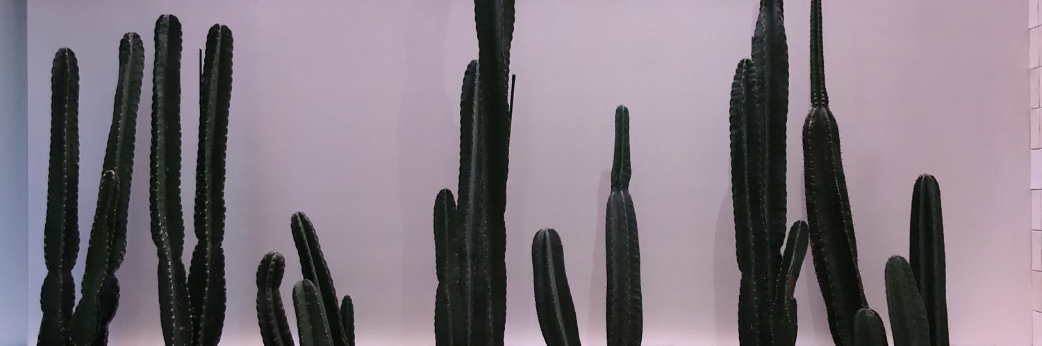 _sararussell's profile banner image