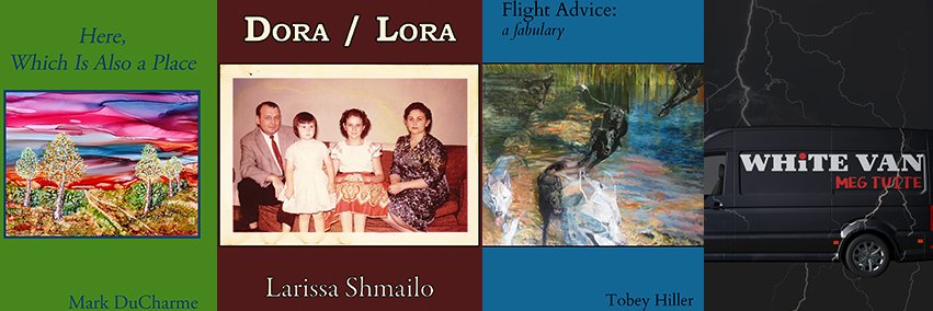 Unlikely Stories banner