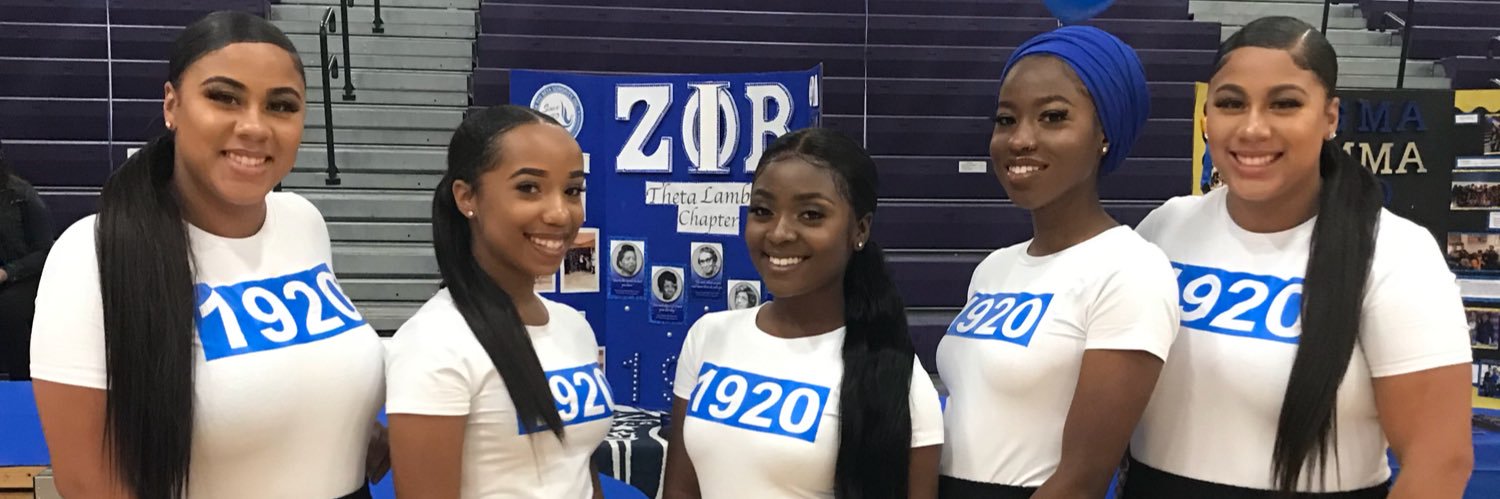 TL_Zetas's profile banner image