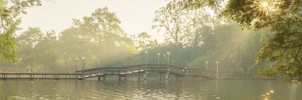 hatonohi's profile banner image