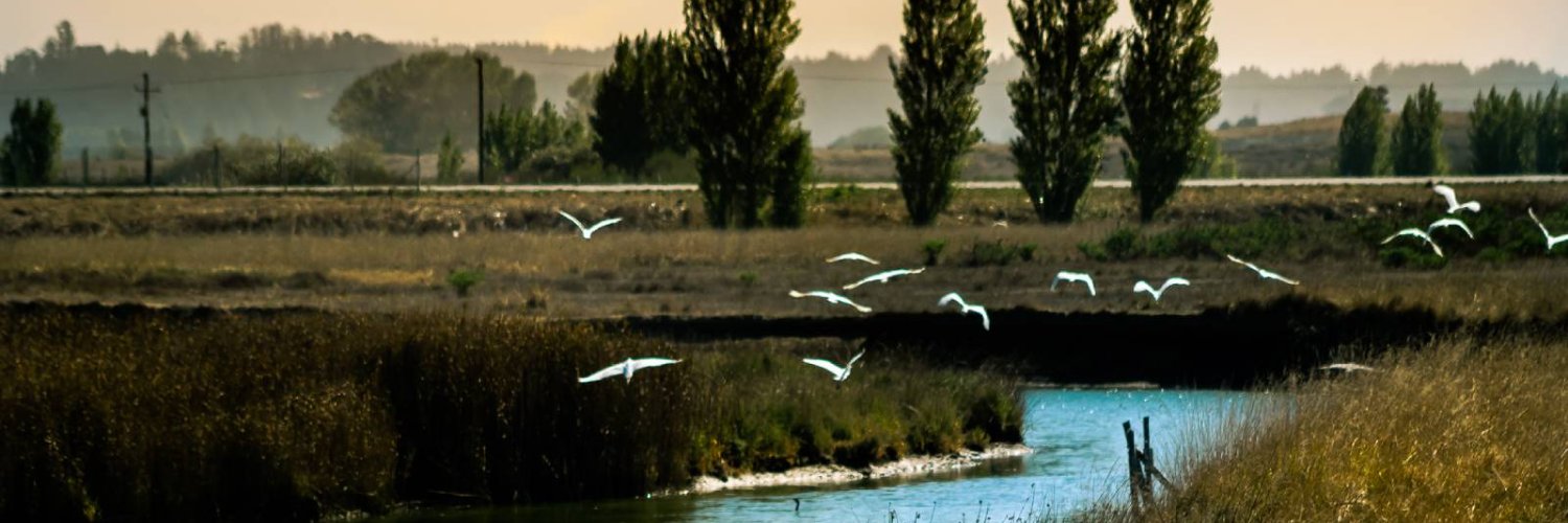 Matías del Río Corral banner