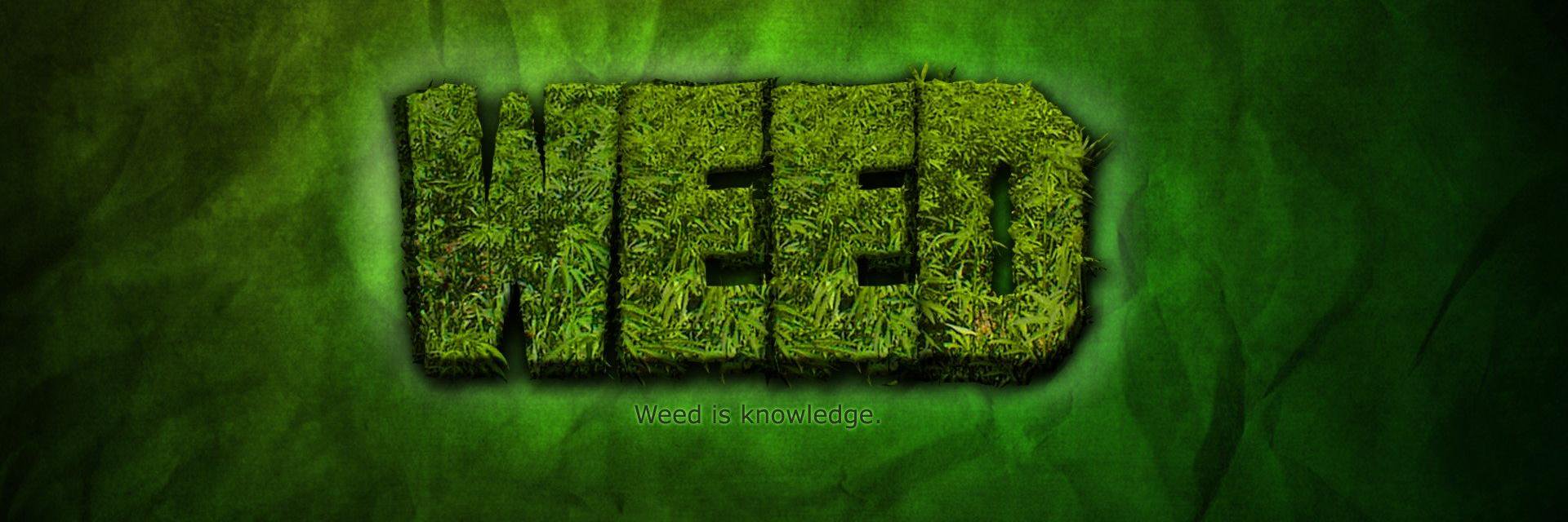 thehigh356's profile banner image