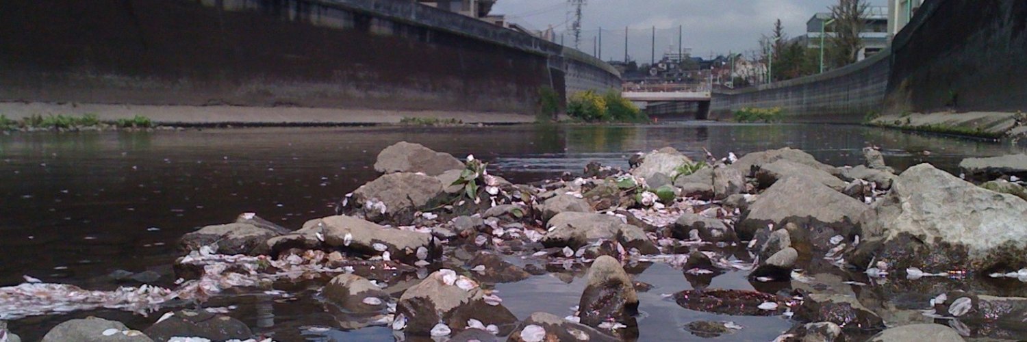 Märt Põder / @tramm@mstdn.social banner