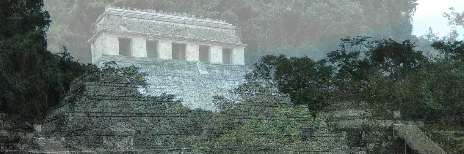 eli_mar_azul's profile banner image