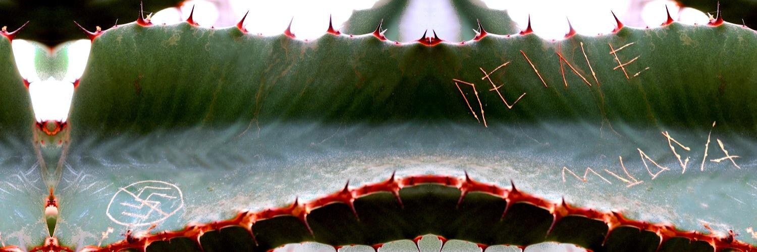 foxeen's profile banner image