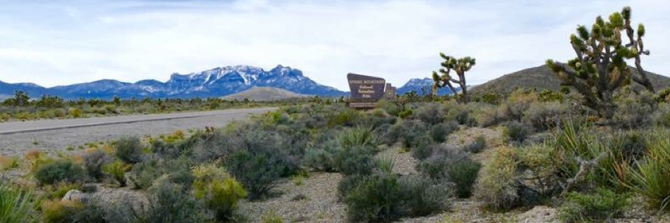 Go Mt. Charleston banner