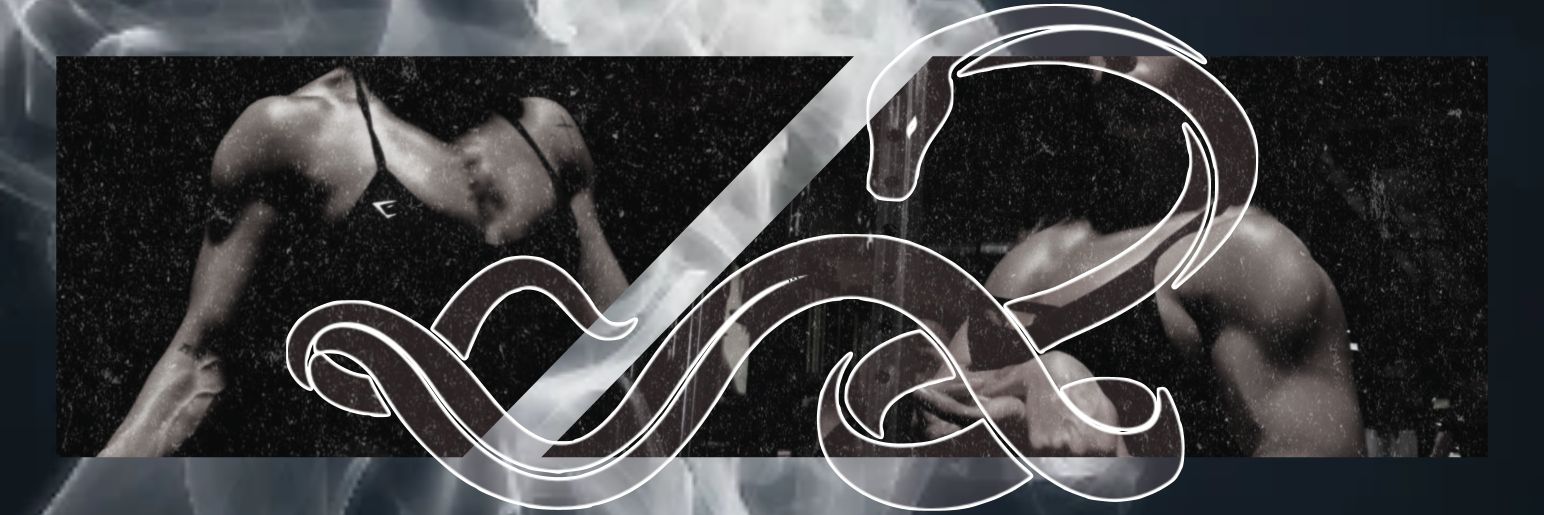 𝑨 𝑵 𝑨 𝑪 𝑶 𝑵 𝑫 𝑨 banner