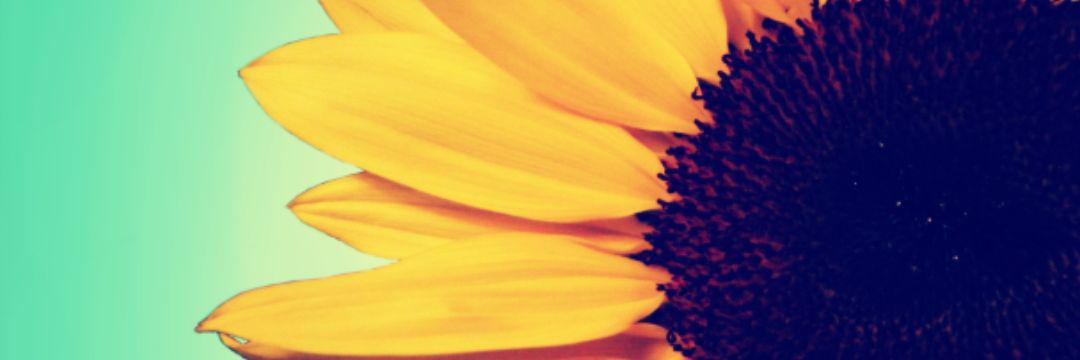 Heather_Therese's profile banner image