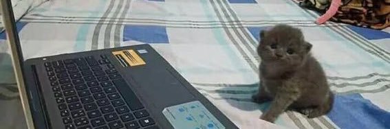 modern_thing's profile banner image