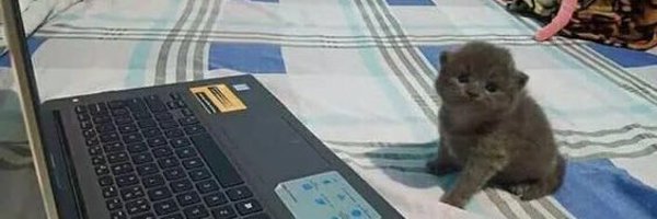 modern_thing Profile Banner