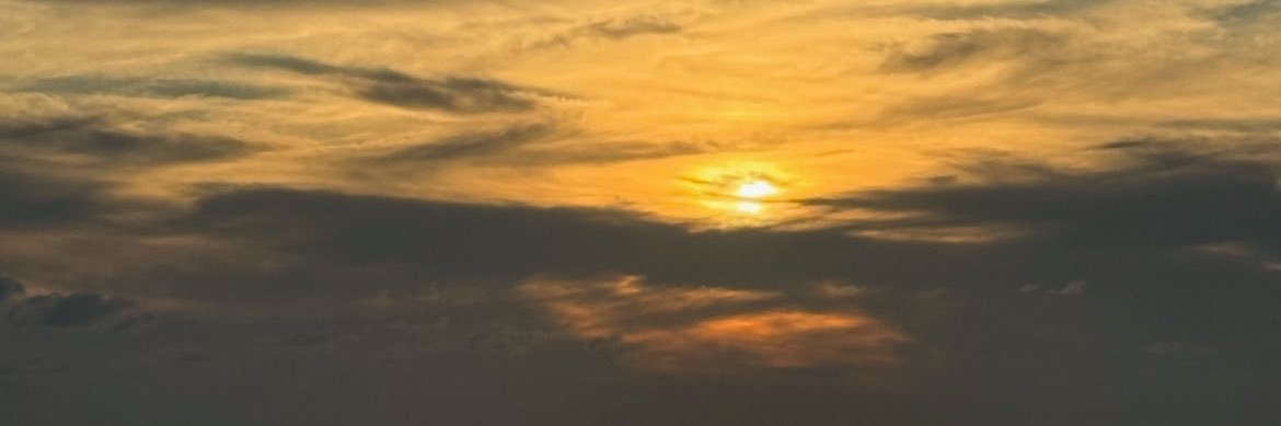 beccastein_'s profile banner image