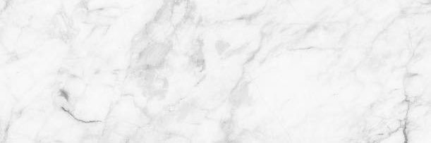haileyfantetti's profile banner image