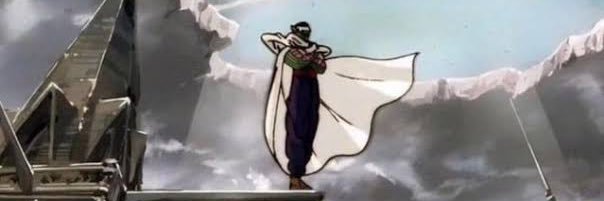 Fly 💉 banner