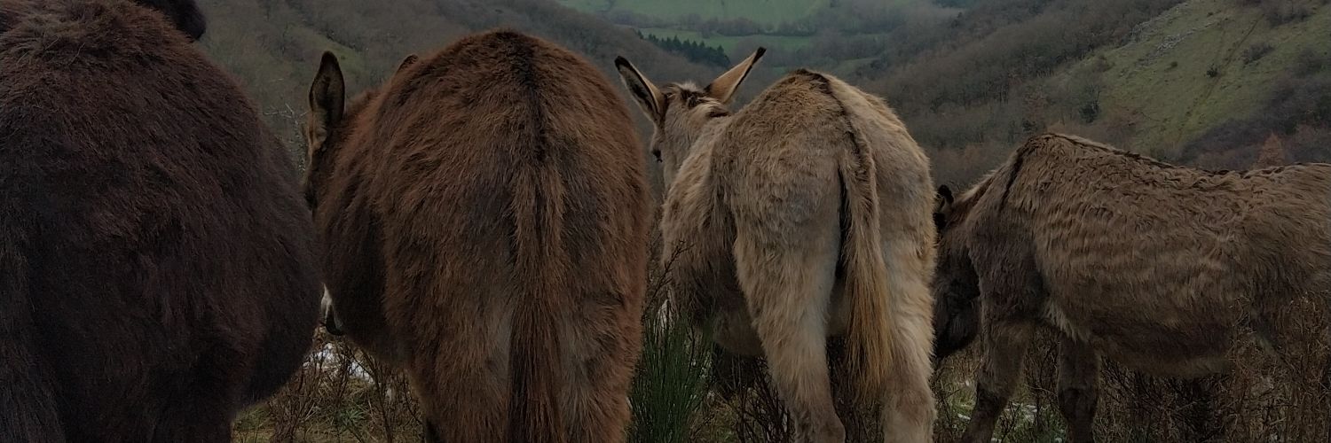 sid31's profile banner image