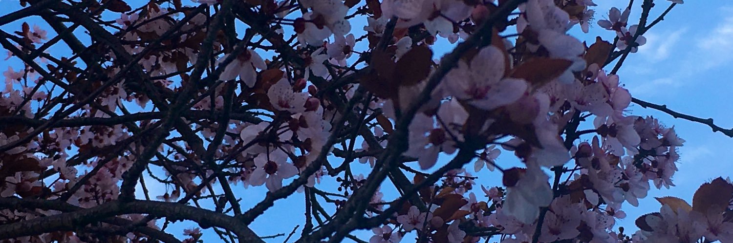 billnaisciguy's profile banner image