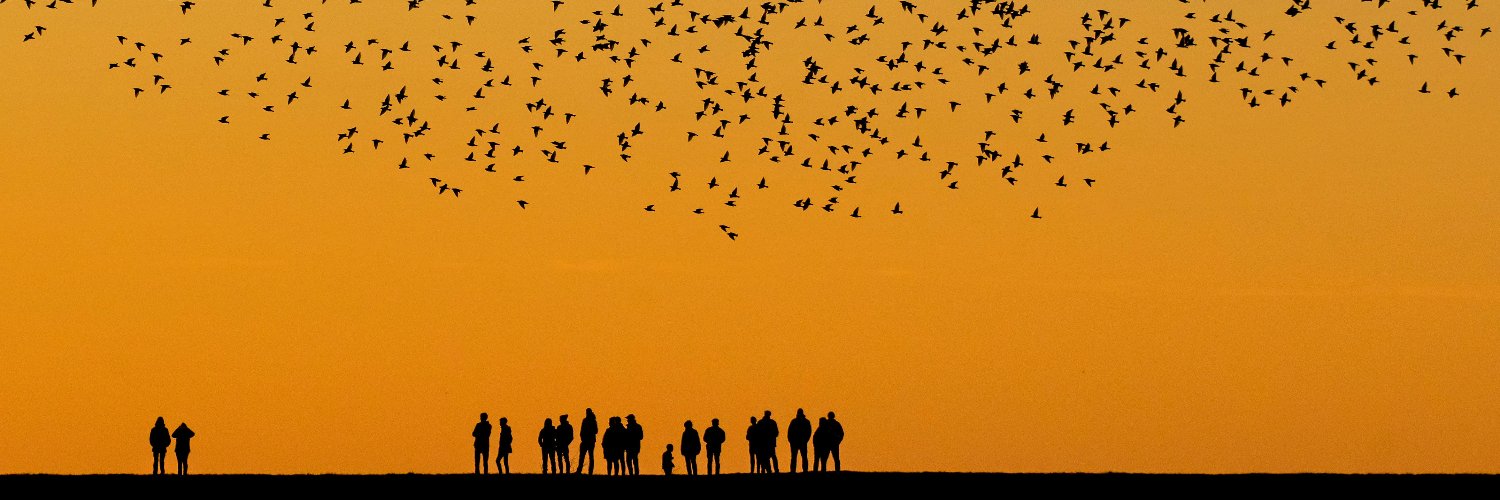 davetmakami's profile banner image