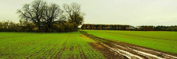 QuarryNotts Profile Banner