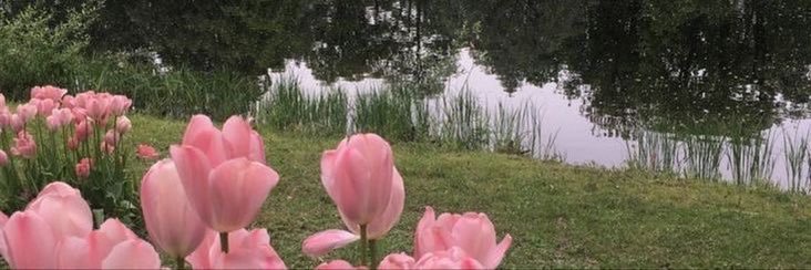 _nataliiarg's profile banner image