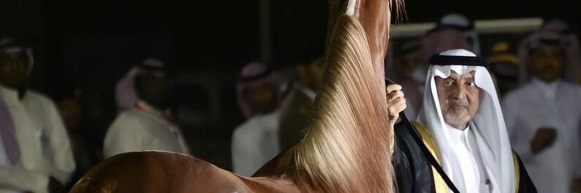 Artb7a's profile banner image