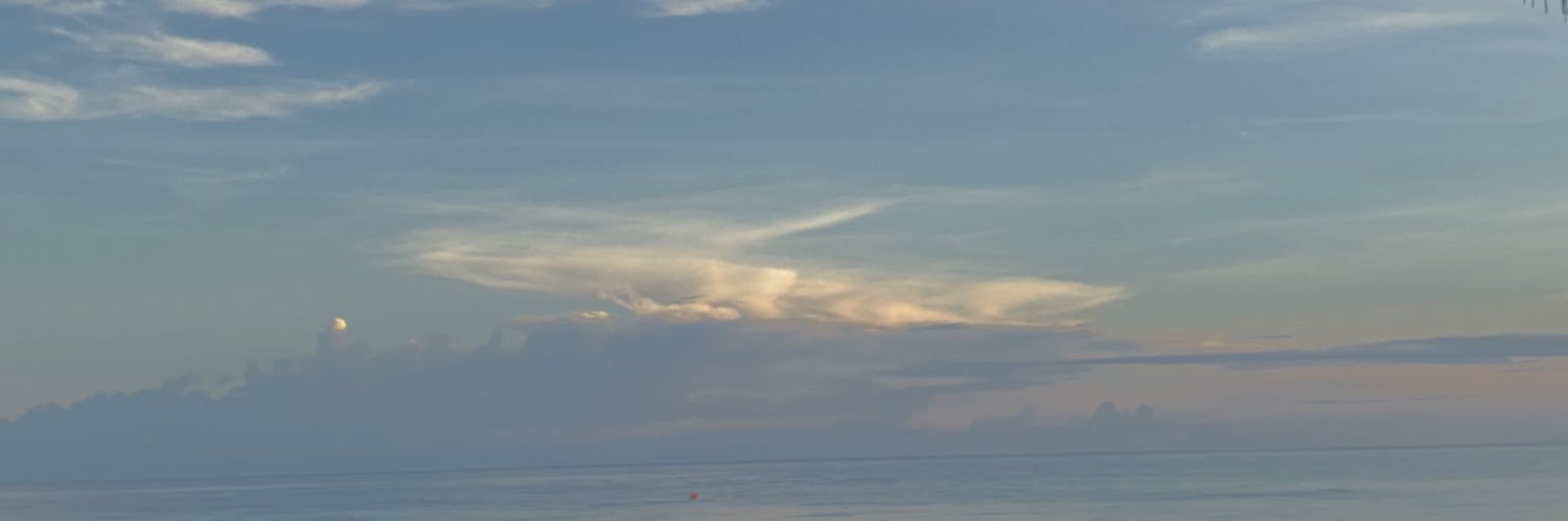 chepvcn's profile banner image