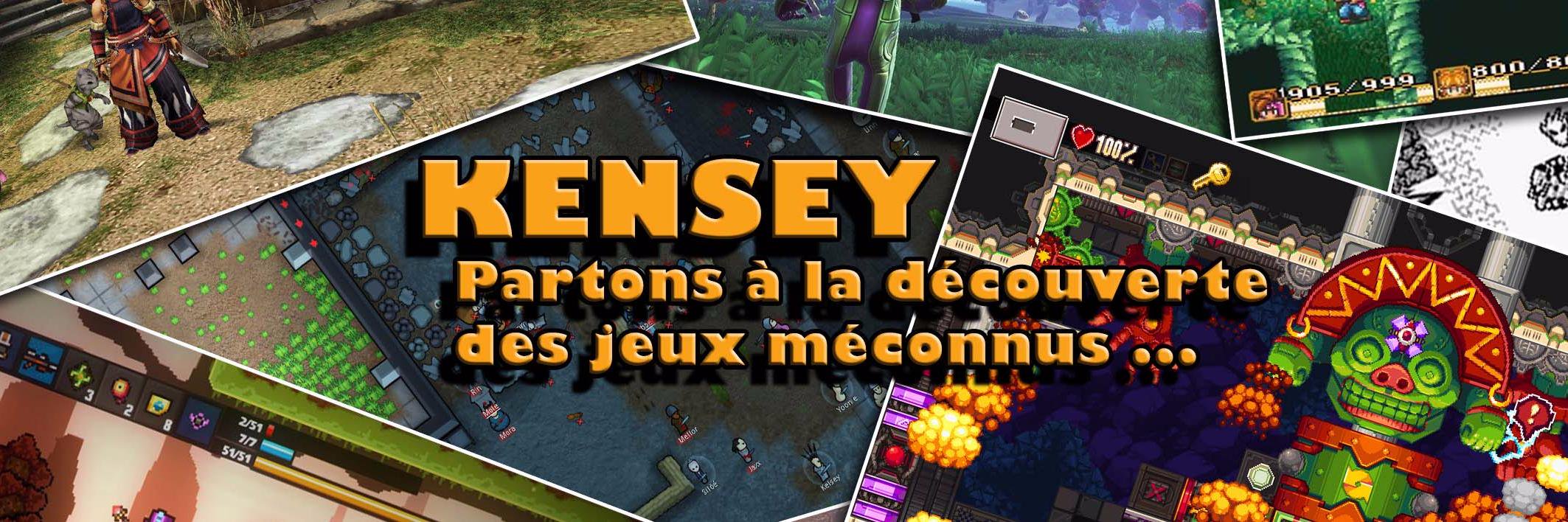 Kensey banner