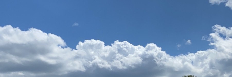 slim_lizzle's profile banner image