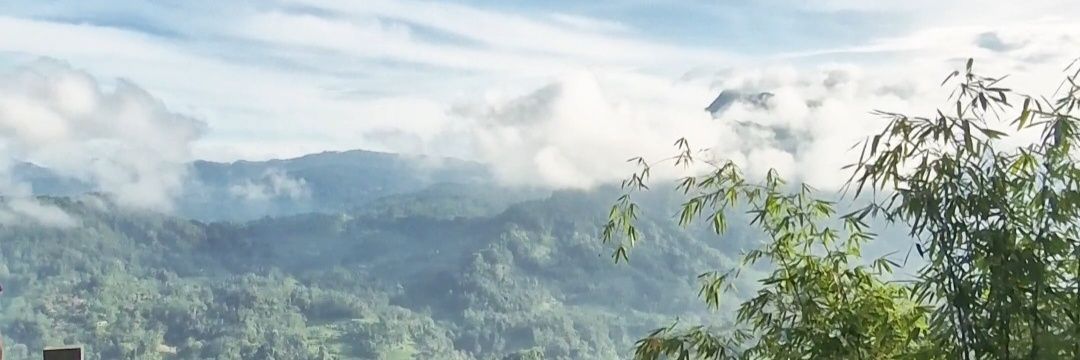 WidiHz's profile banner image