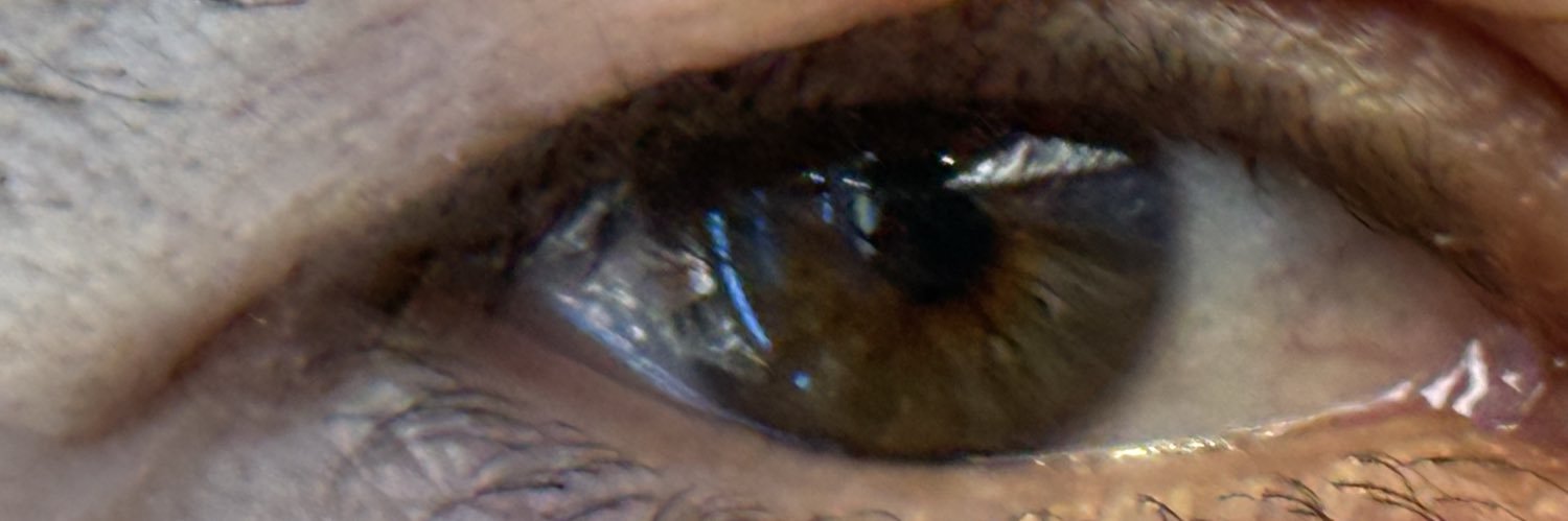 tofreda's profile banner image
