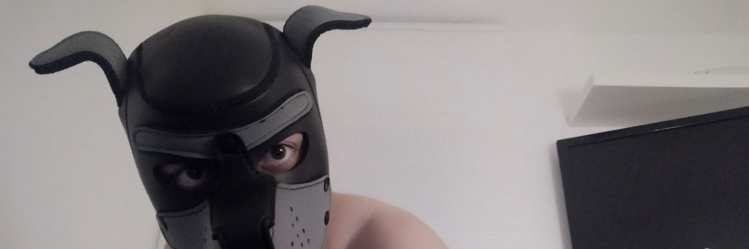 Pup Inu 🐶 banner
