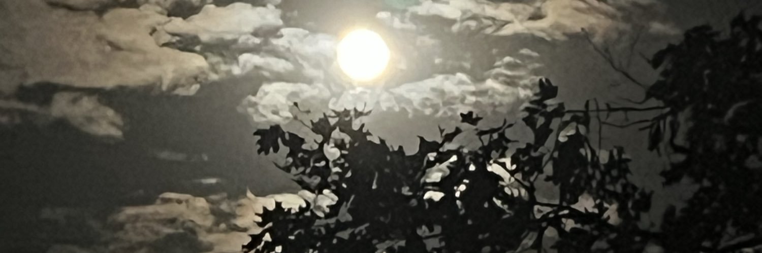 CC_Potts's profile banner image