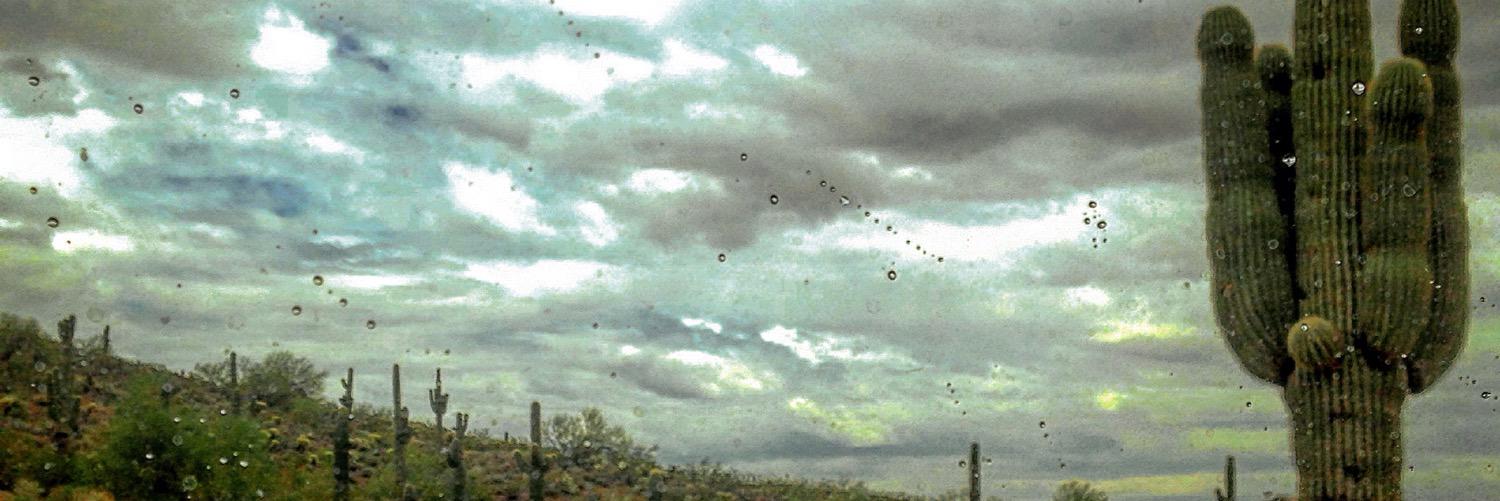 PHXMixaca's profile banner image