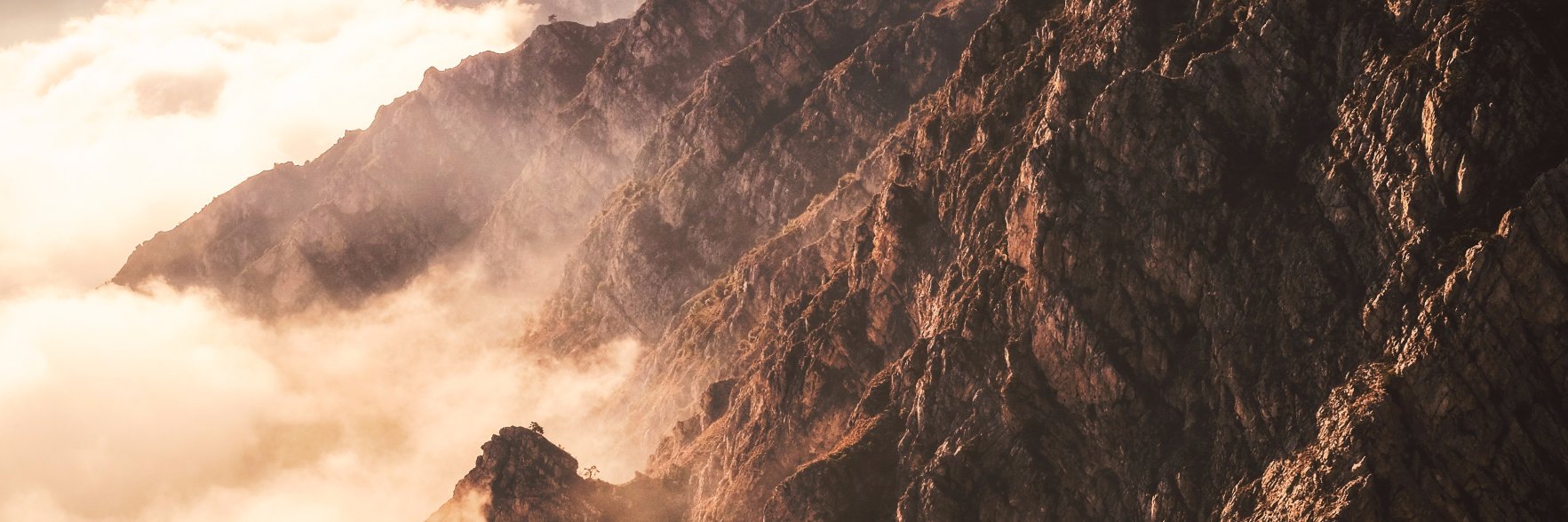 flo2sa's profile banner image