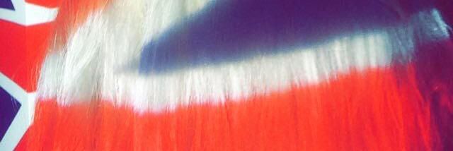 LidkaVeronica's profile banner image