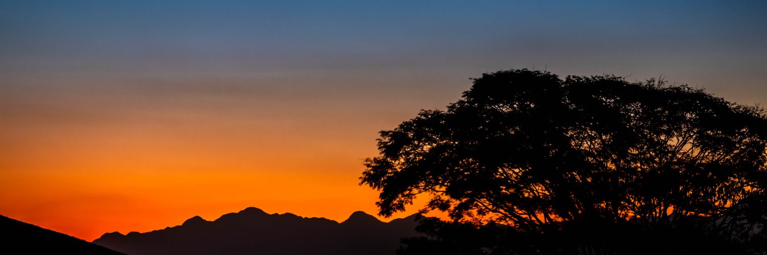 euthatorres's profile banner image