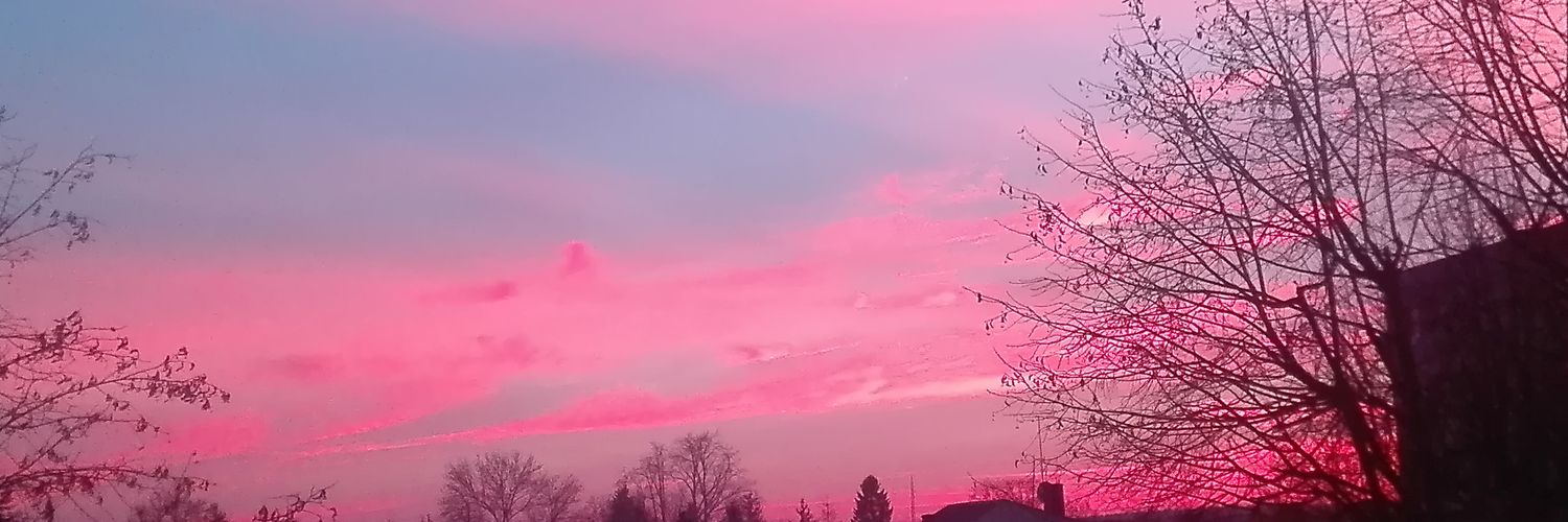 neve_bella's profile banner image