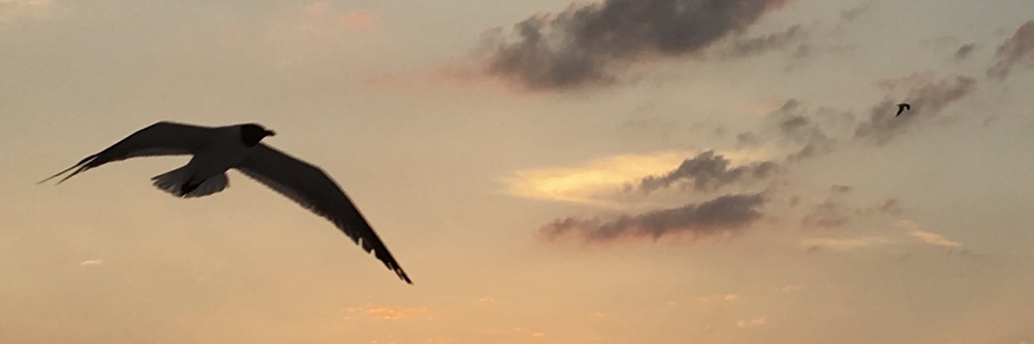 Beat Unternährer banner