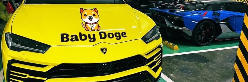 nimohdollar's profile banner image