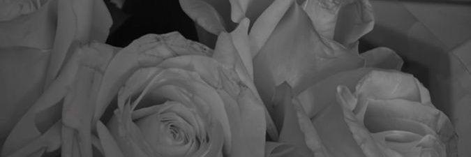 ikranur_o's profile banner image