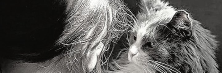 HudaShukri's profile banner image