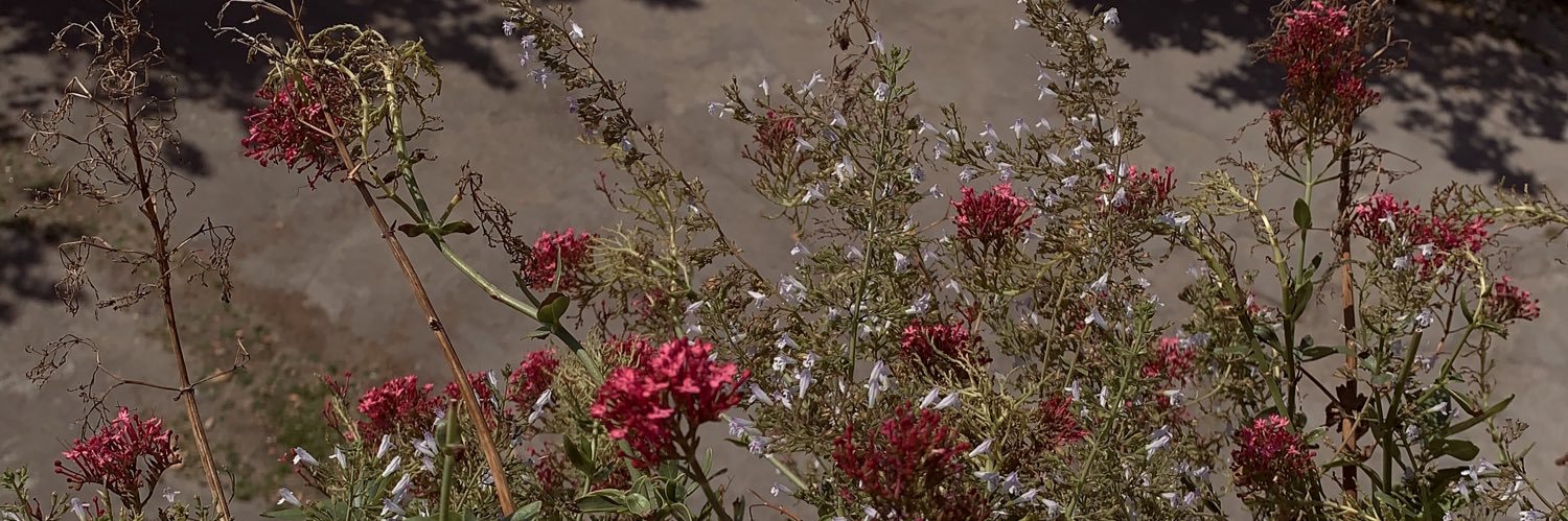 manon_j83's profile banner image