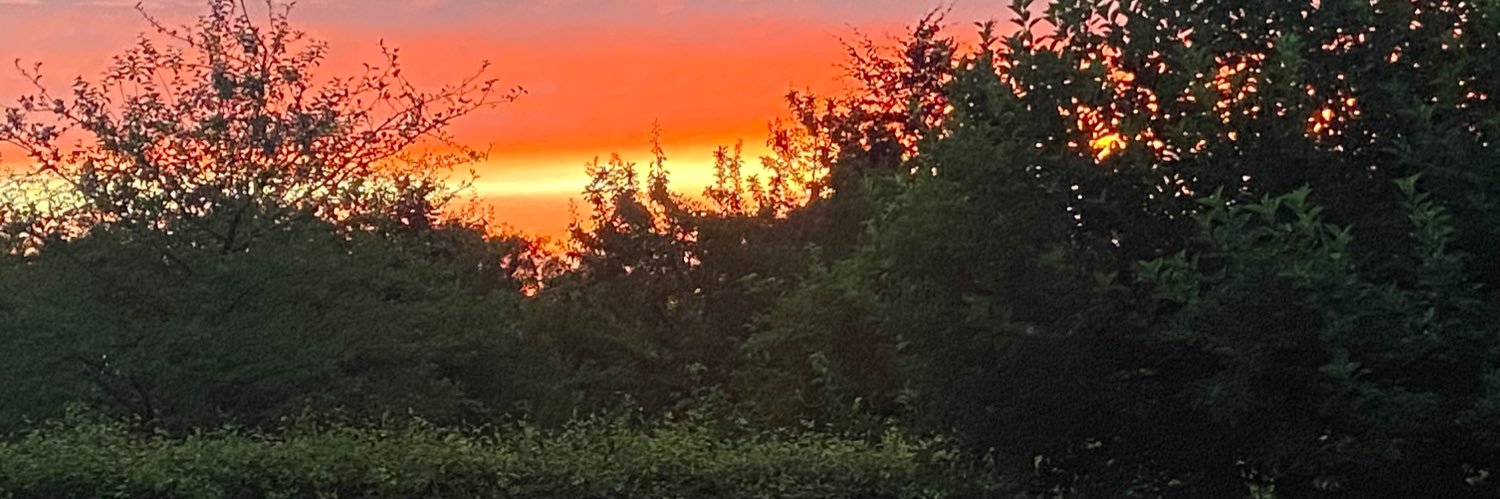 Gert Esselink banner