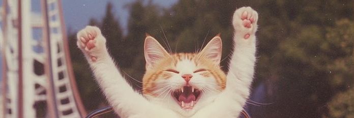 kaamchorkitty's profile banner image