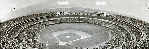 Dylan Webster banner