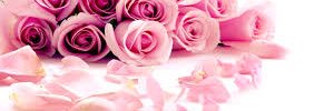 v09911's profile banner image